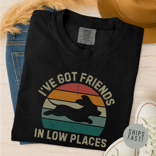 Friends in Low Places T-Shirt