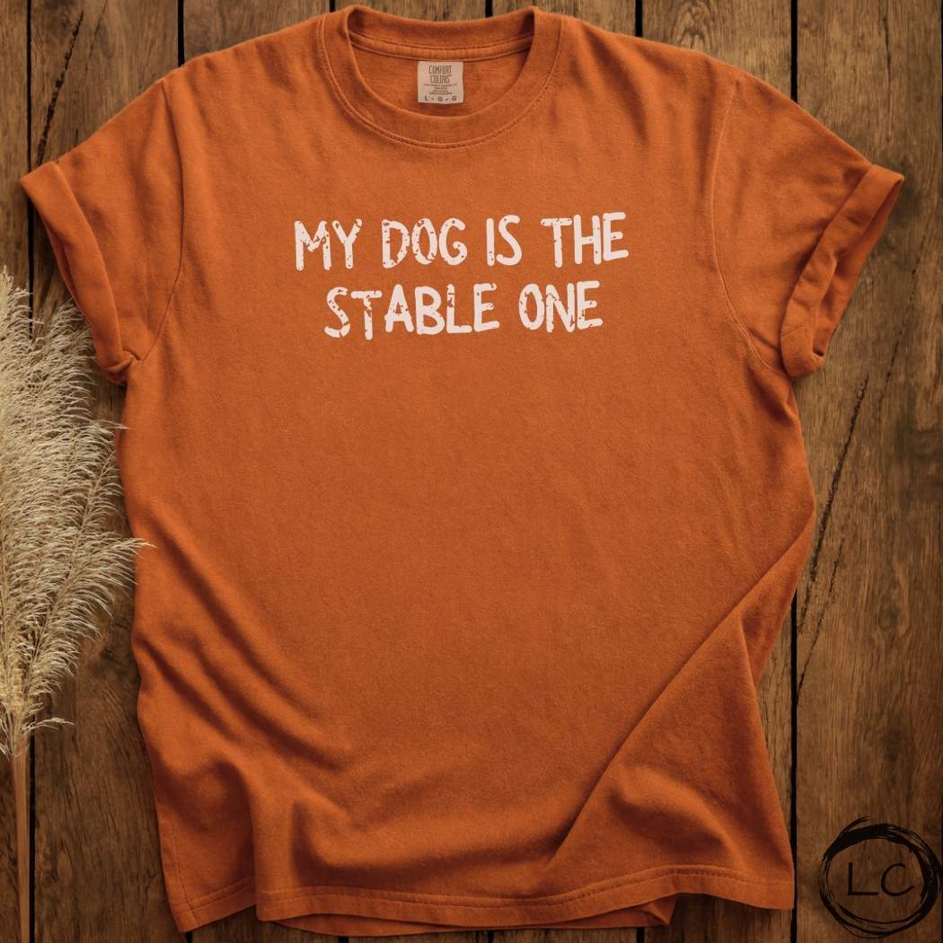 My Dog is the Stable One T-Shirt